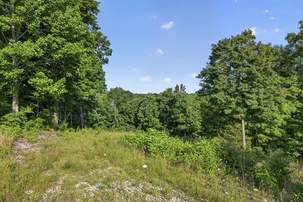 0 Hidden Cove Lane Allons TN 38541