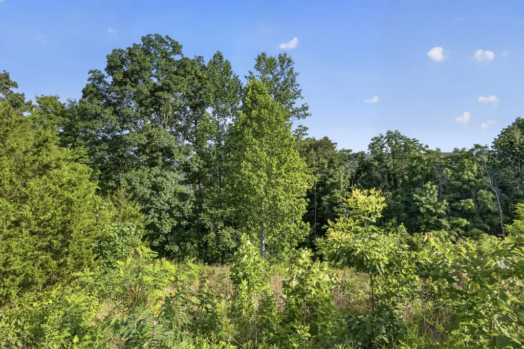0 Hidden Cove Lane Allons TN 38541