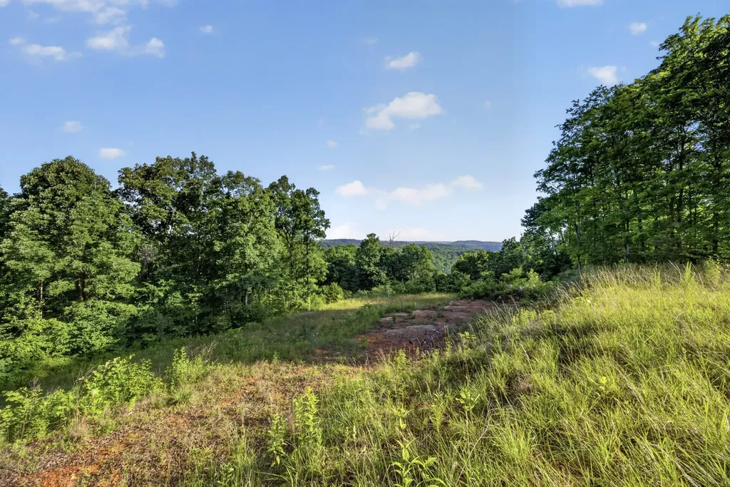 0 Hidden Cove Lane Allons TN 38541