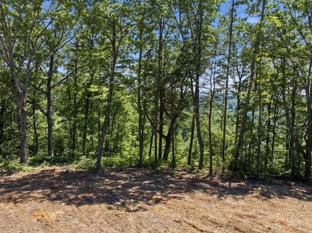 0 Split Rail Way Guild TN 37340