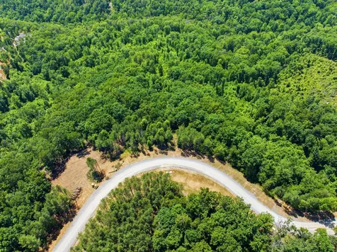 0 Split Rail Way Guild TN 37340
