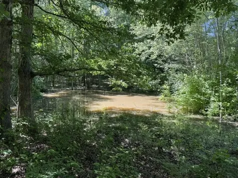 0 Wildwood Road Mcminnville TN 37110