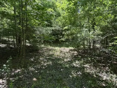 0 Wildwood Road Mcminnville TN 37110