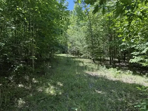 0 Wildwood Road Mcminnville TN 37110