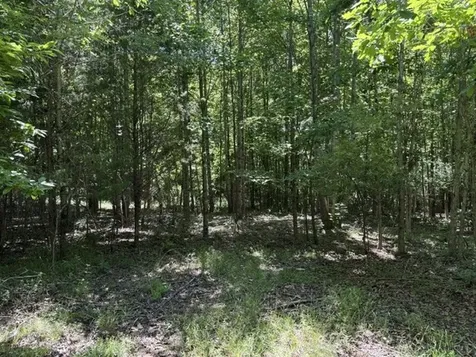 0 Wildwood Road Mcminnville TN 37110