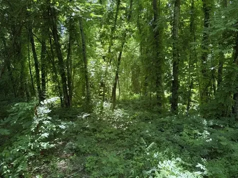 0 Wildwood Road Mcminnville TN 37110