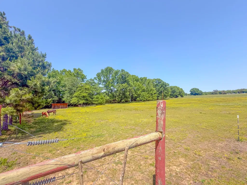 3800 Salem Road Minor Hill TN 38473
