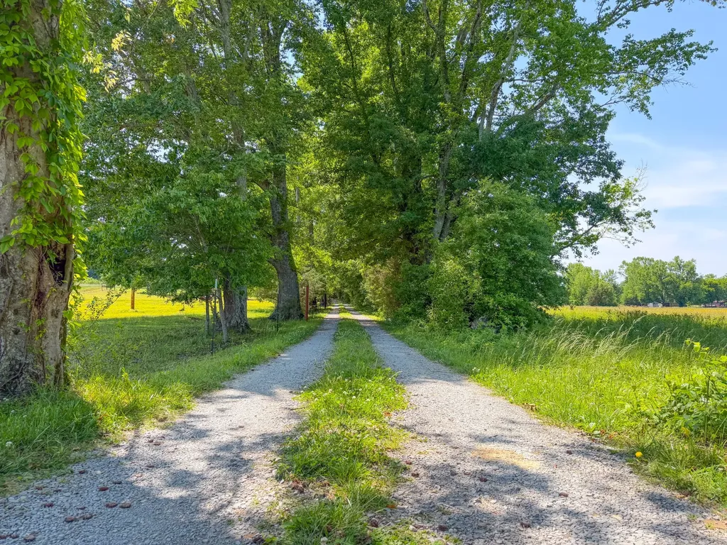 3800 Salem Road Minor Hill TN 38473