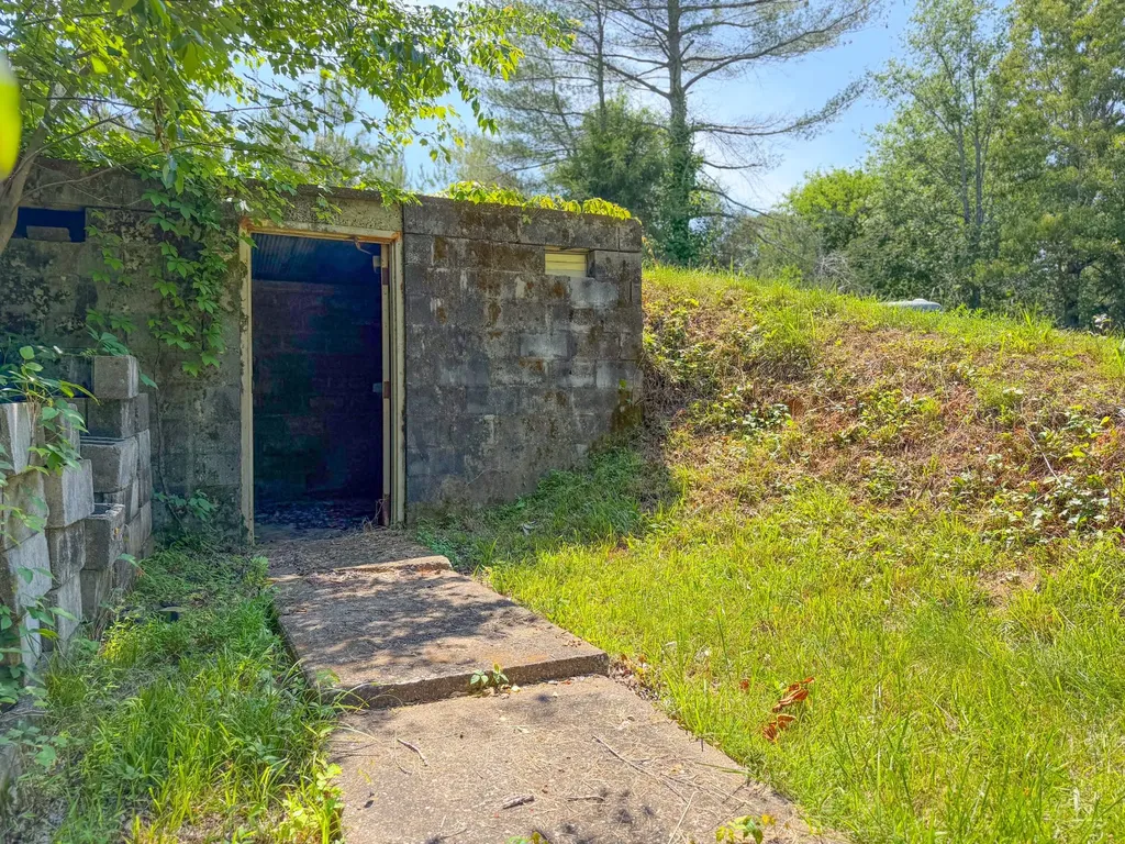 3800 Salem Road Minor Hill TN 38473