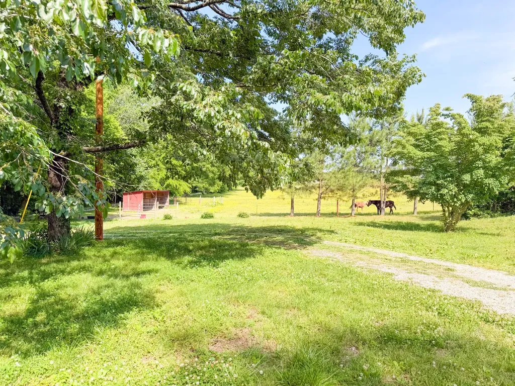 3800 Salem Road Minor Hill TN 38473