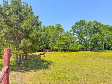 3800 Salem Road Minor Hill TN 38473