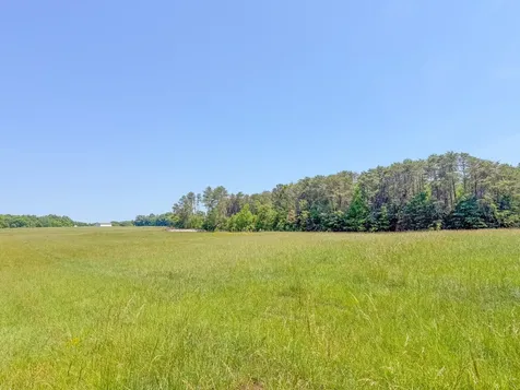 3800 Salem Road Minor Hill TN 38473