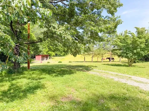 3800 Salem Road Minor Hill TN 38473