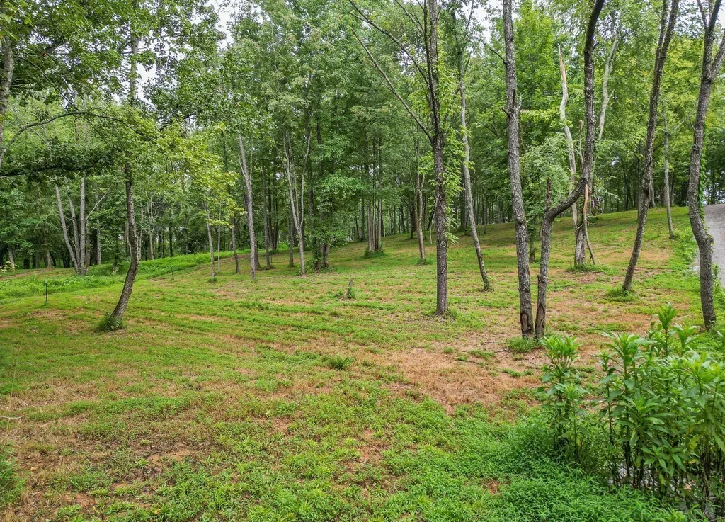 0 Flippen Road Lebanon TN 37087