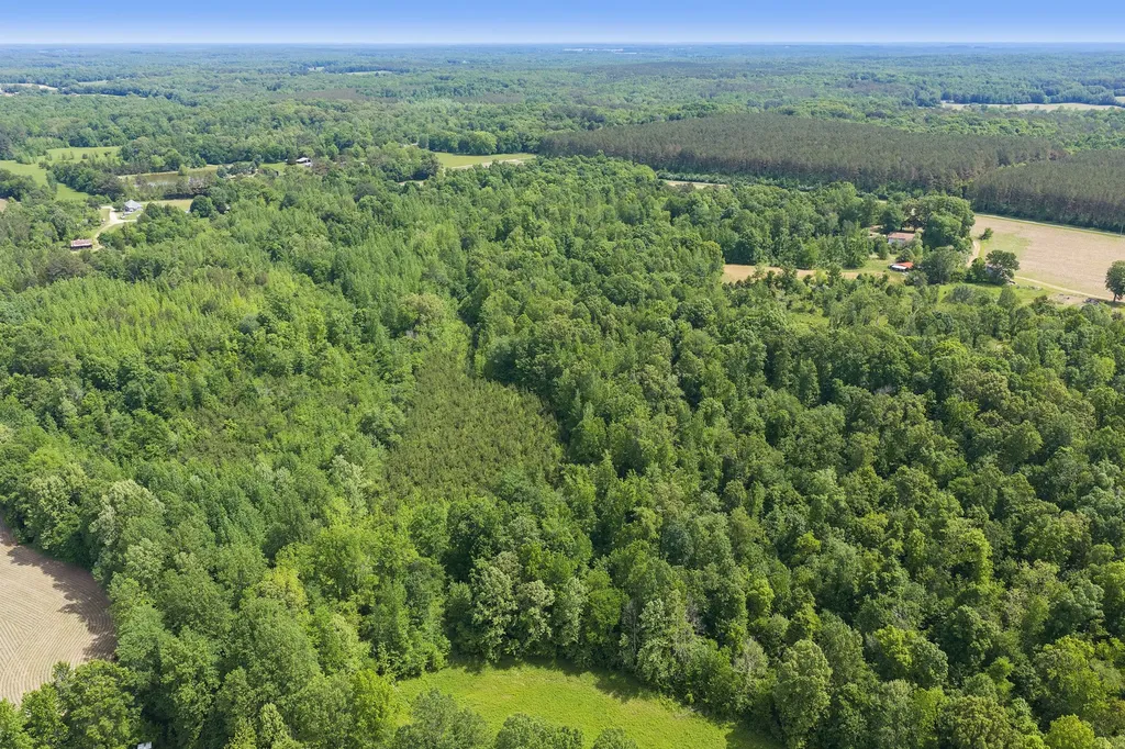 0 Mann Road Hollow Rock TN 38342