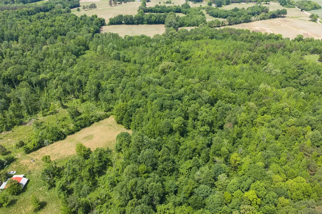 0 Mann Road Hollow Rock TN 38342