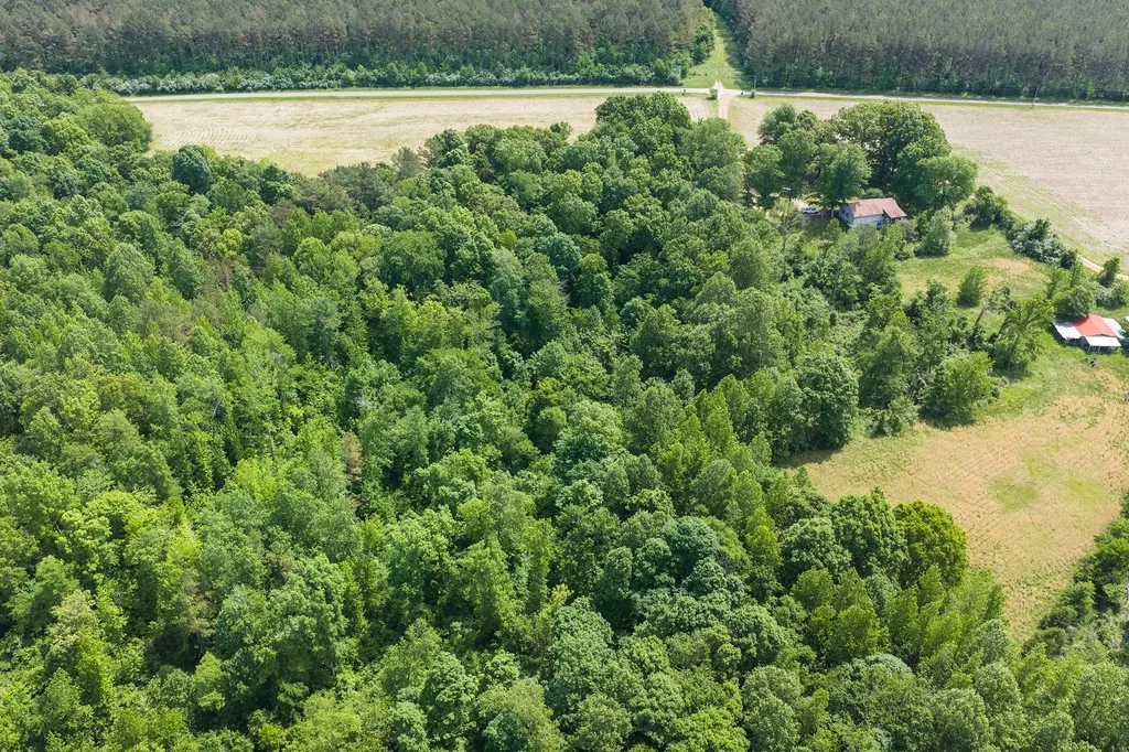 0 Mann Road Hollow Rock TN 38342