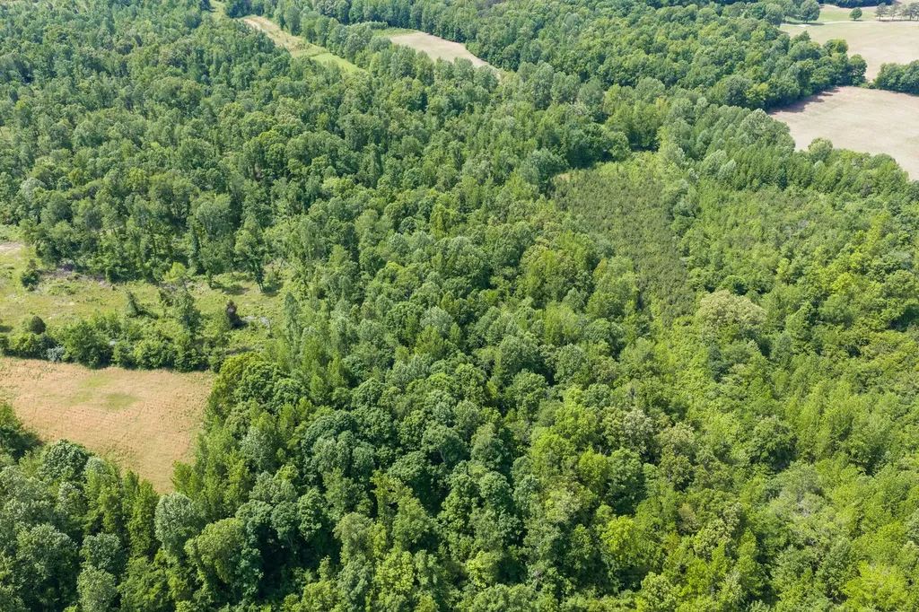 0 Mann Road Hollow Rock TN 38342