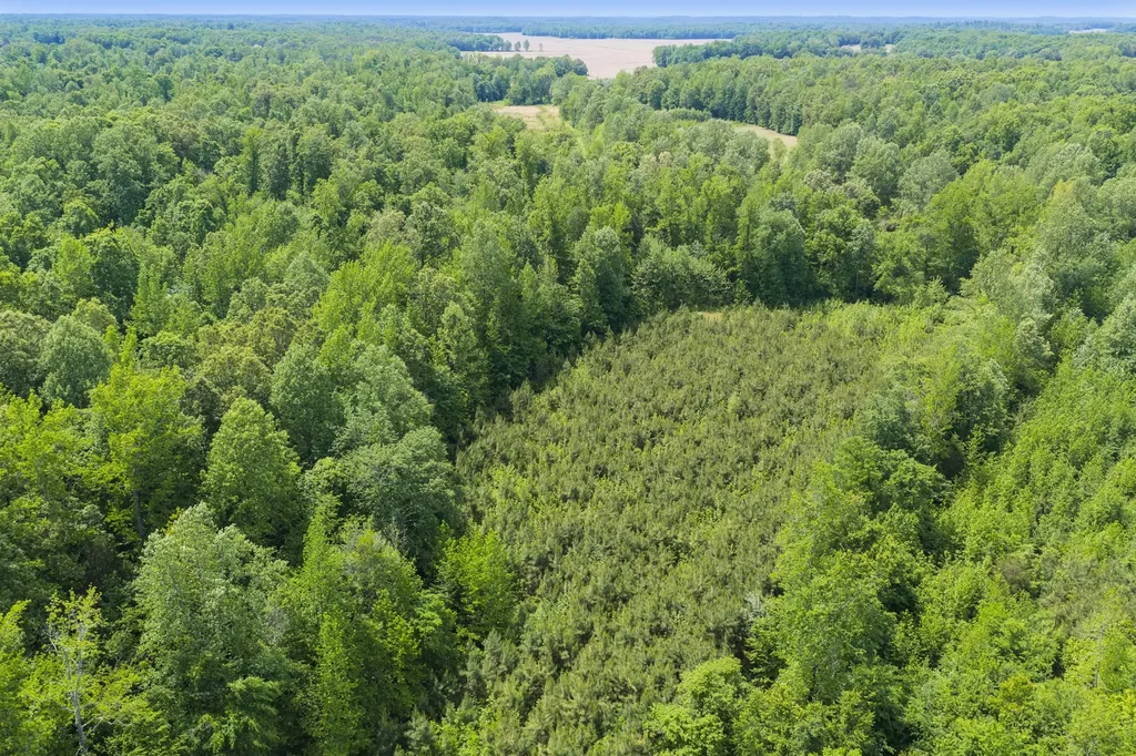0 Mann Road Hollow Rock TN 38342