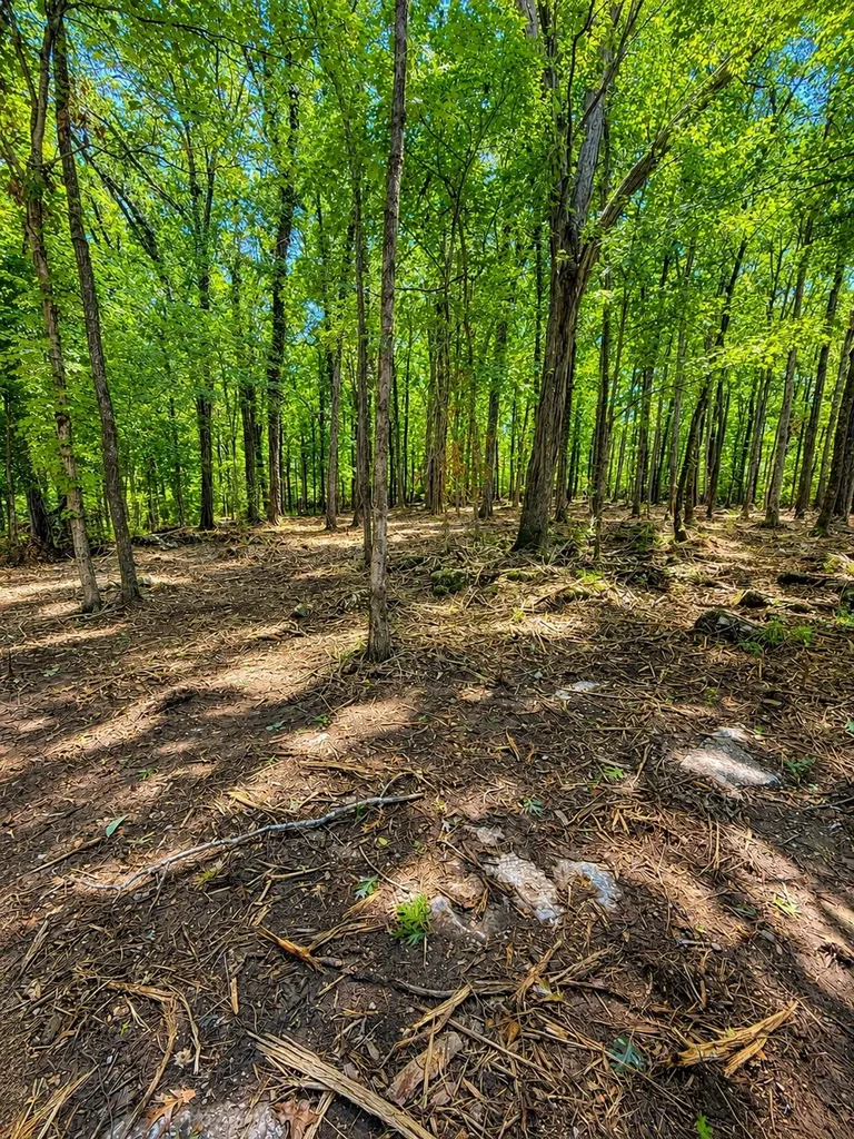3612 Benders Ferry Road Mount Juliet TN 37122