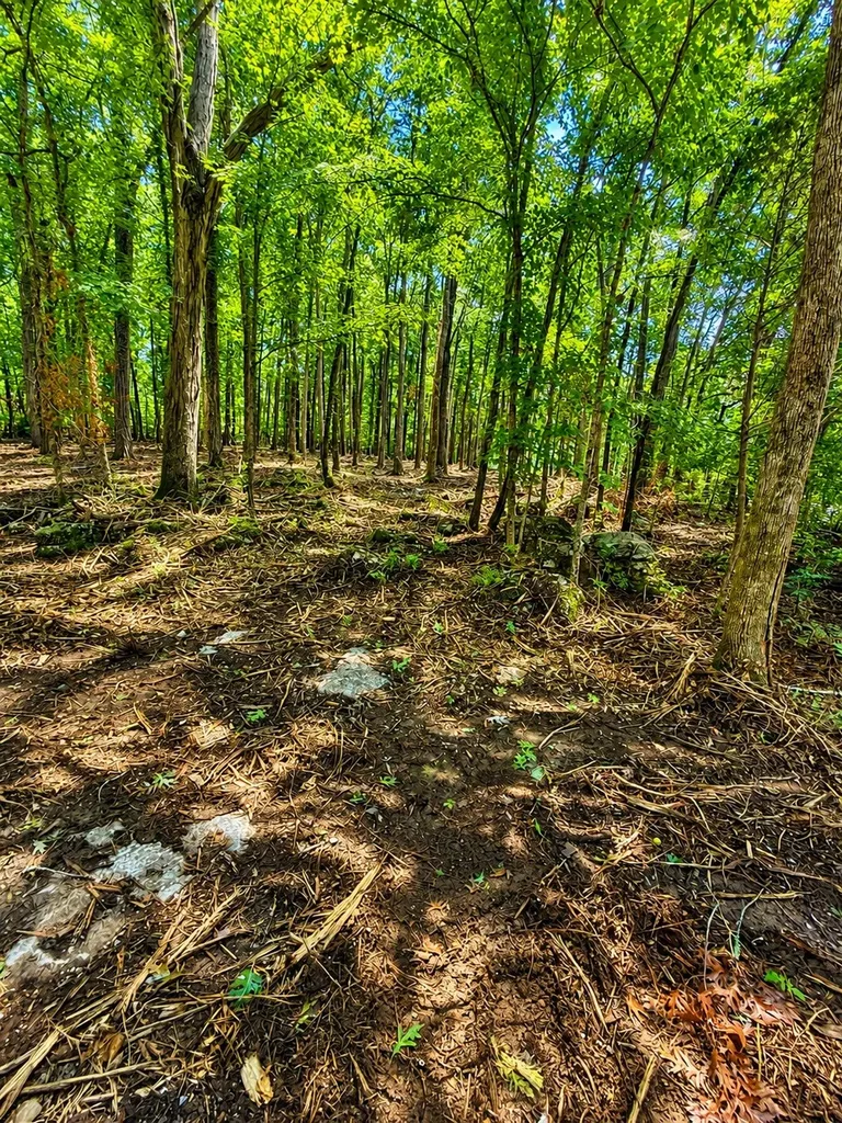3612 Benders Ferry Road Mount Juliet TN 37122