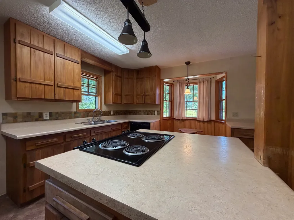 3800 Salem Road Minor Hill TN 38473