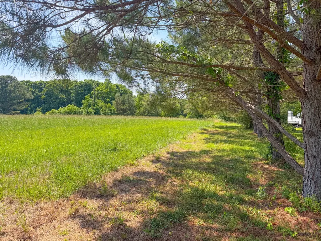 3800 Salem Road Minor Hill TN 38473