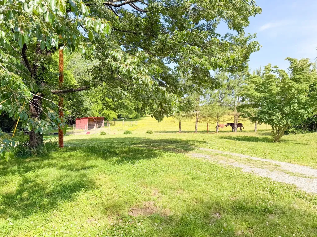 3800 Salem Road Minor Hill TN 38473