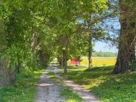 3800 Salem Road Minor Hill TN 38473