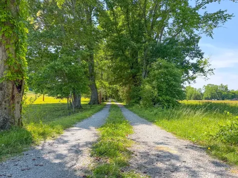 3800 Salem Road Minor Hill TN 38473