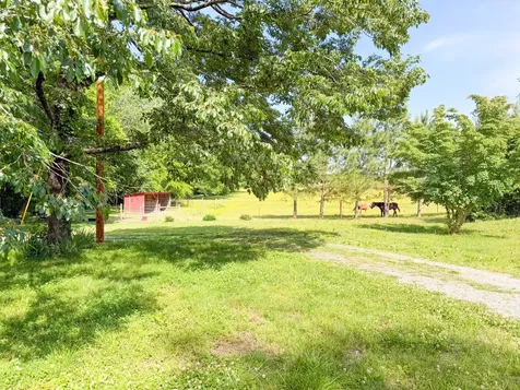 3800 Salem Road Minor Hill TN 38473