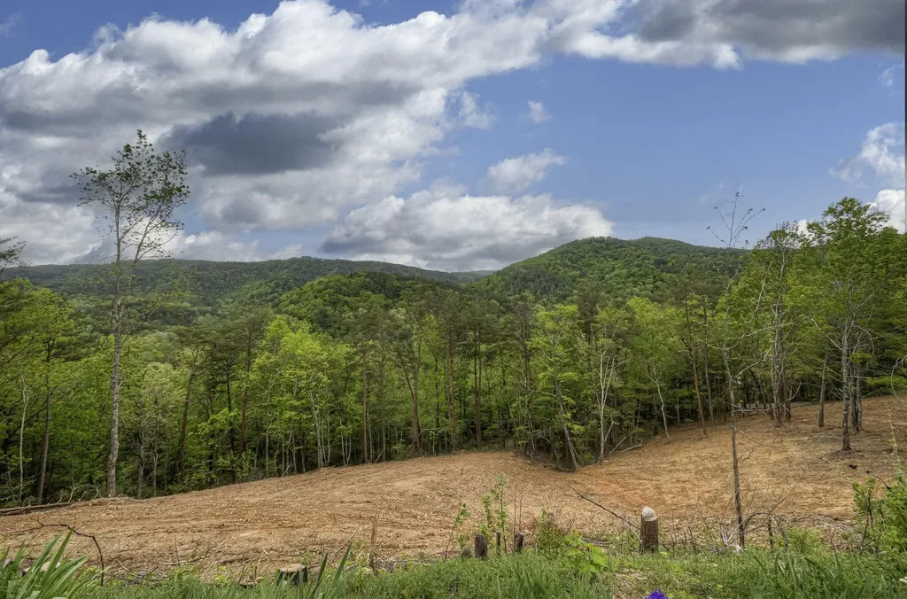 625 Cane Creek Mountain Road Tellico Plains TN 37385