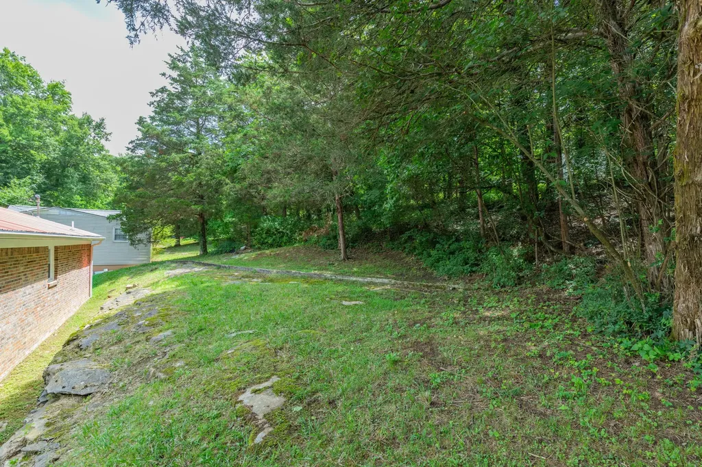 341 Valley View Drive Pulaski TN 38478