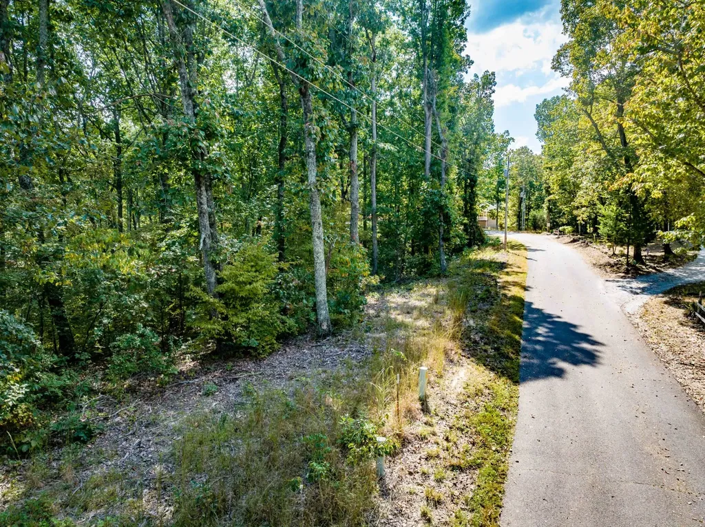 0 Ridgeway Drive Sugar Tree TN 38380