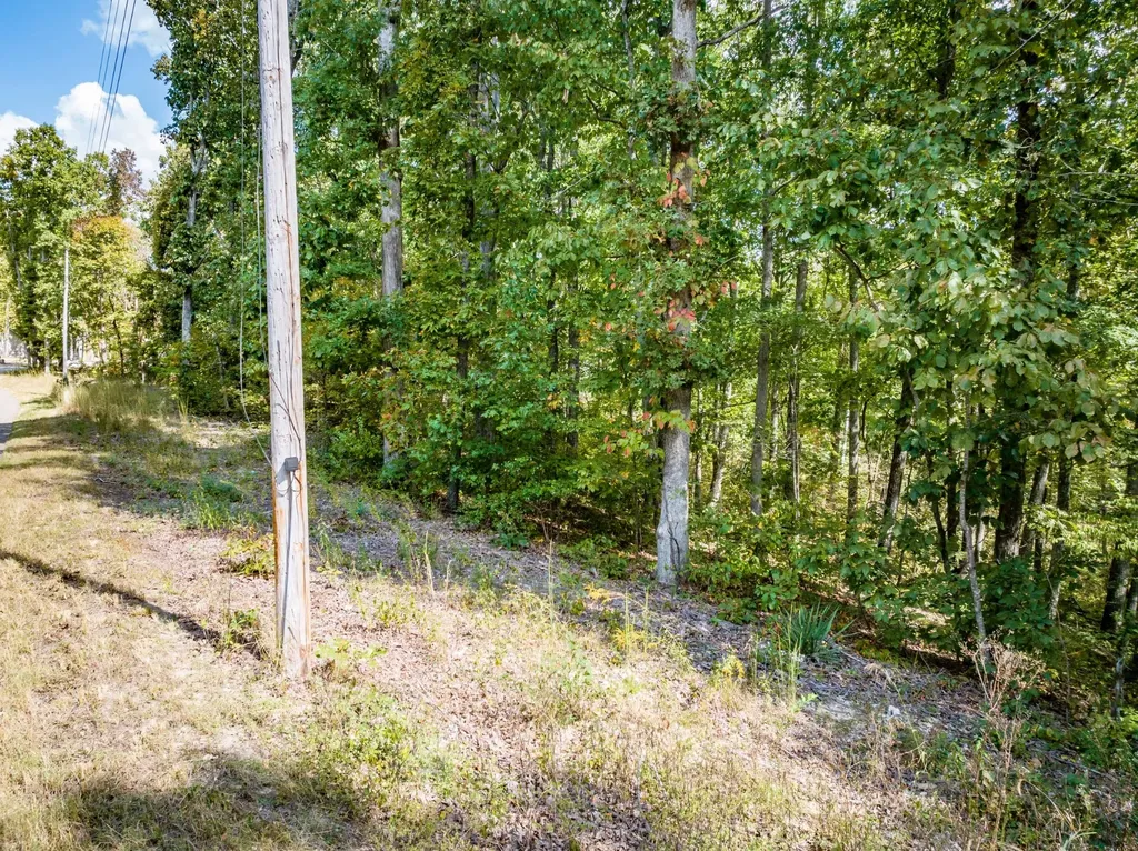 0 Ridgeway Drive Sugar Tree TN 38380