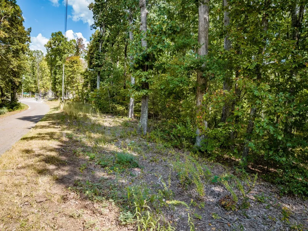 0 Ridgeway Drive Sugar Tree TN 38380
