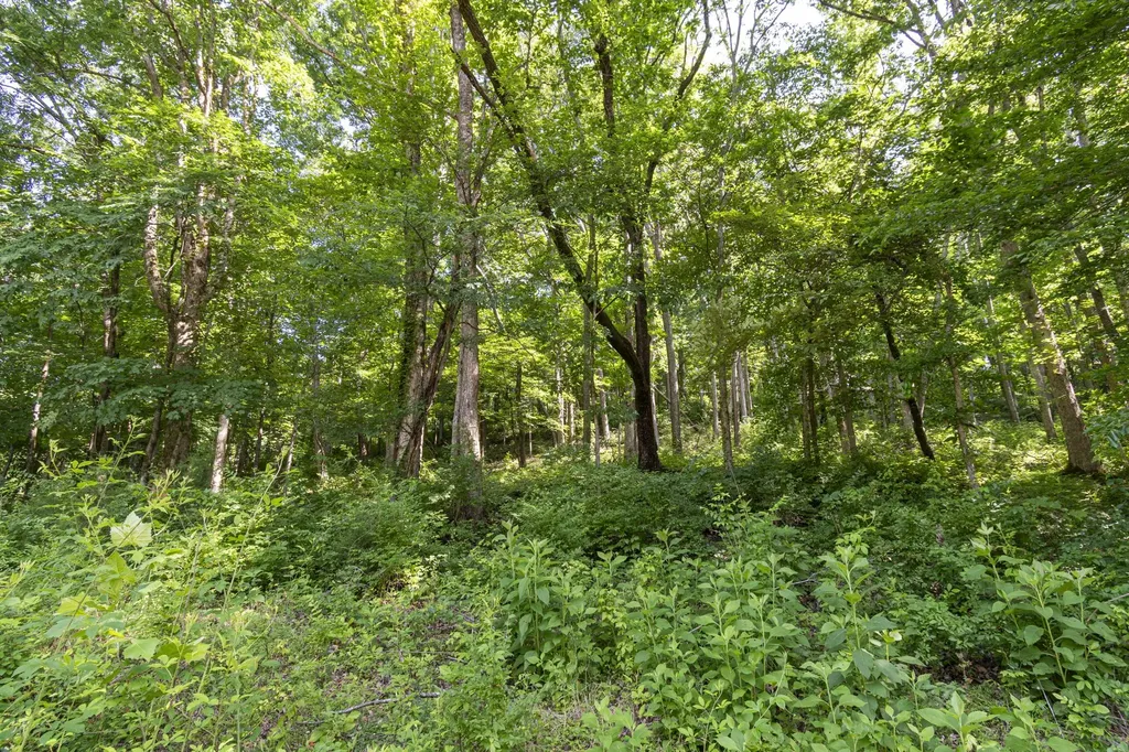 661 Hunters Trail Nashville TN 37209