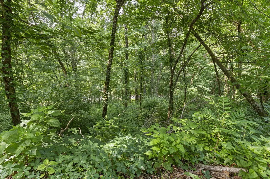661 Hunters Trail Nashville TN 37209