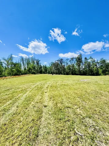 0 Annie Hollow Road Westmoreland TN 37186