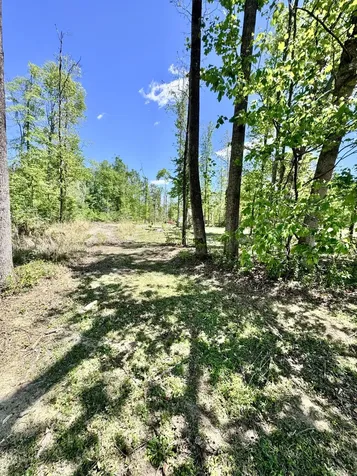 0 Annie Hollow Road Westmoreland TN 37186