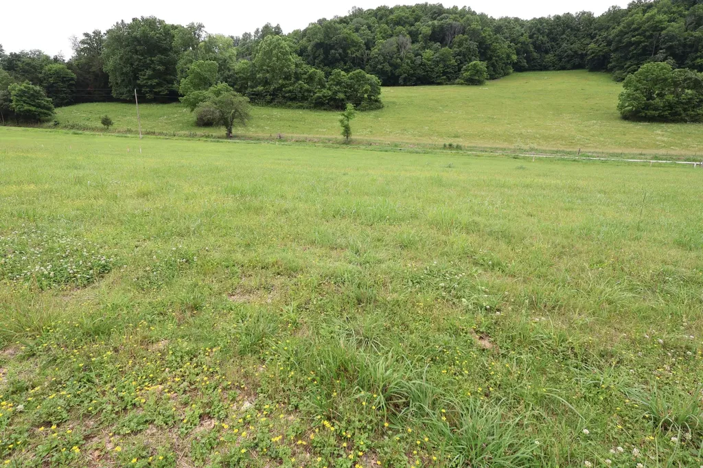0 Pleasant Shade Highway Pleasant Shade TN 37145