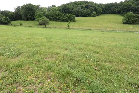 0 Pleasant Shade Highway Pleasant Shade TN 37145