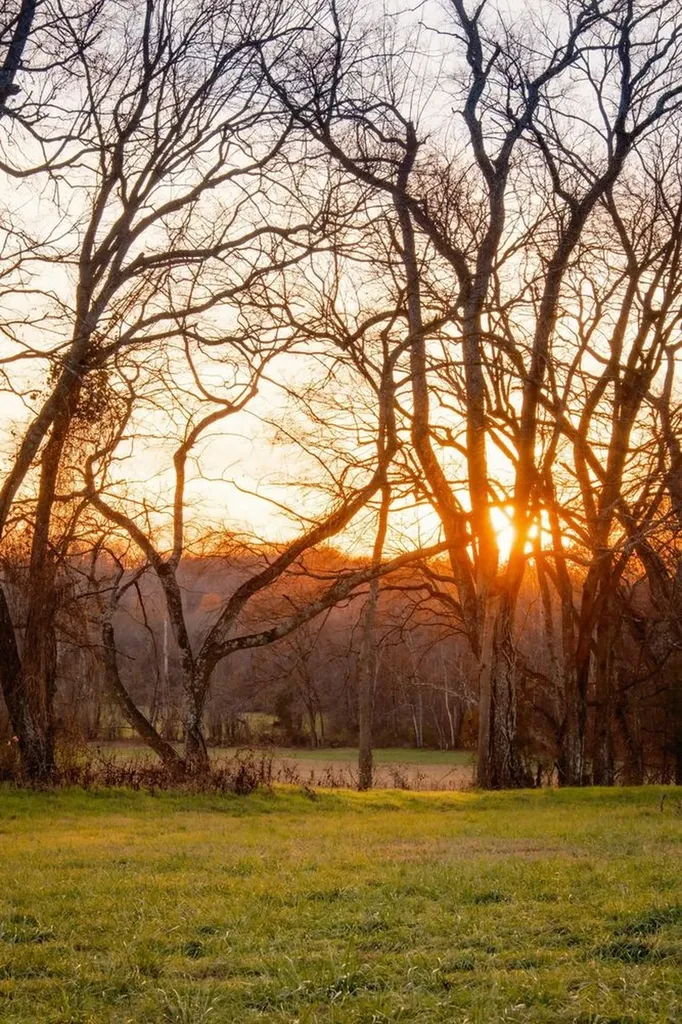 3017 Blythe Meadow Lane Arrington TN 37014