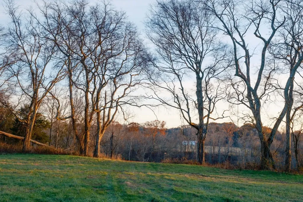 3017 Blythe Meadow Lane Arrington TN 37014