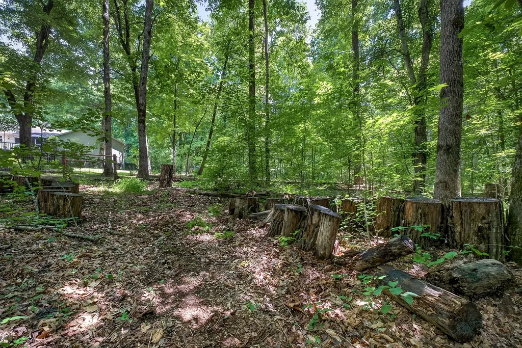 2025 Old Bon Air Road Sparta TN 38583