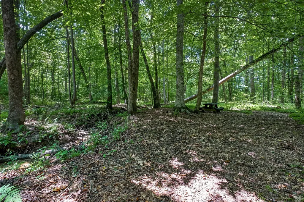 2025 Old Bon Air Road Sparta TN 38583