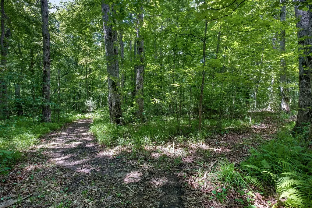 2025 Old Bon Air Road Sparta TN 38583