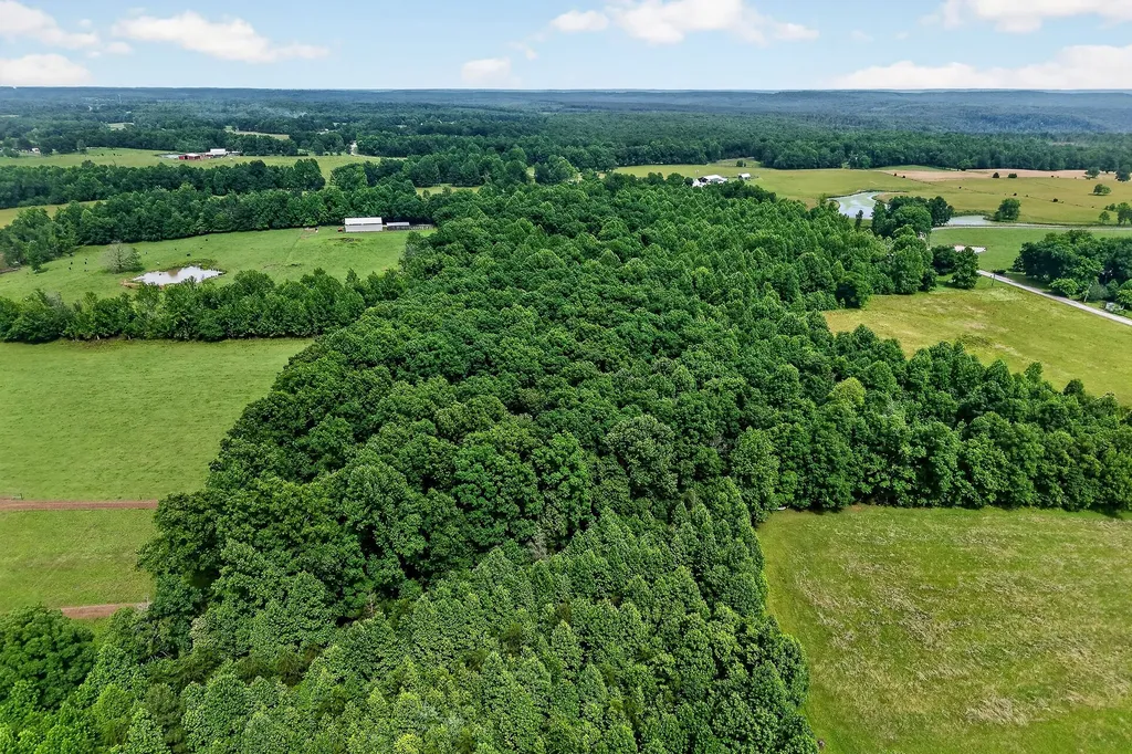 2025 Old Bon Air Road Sparta TN 38583