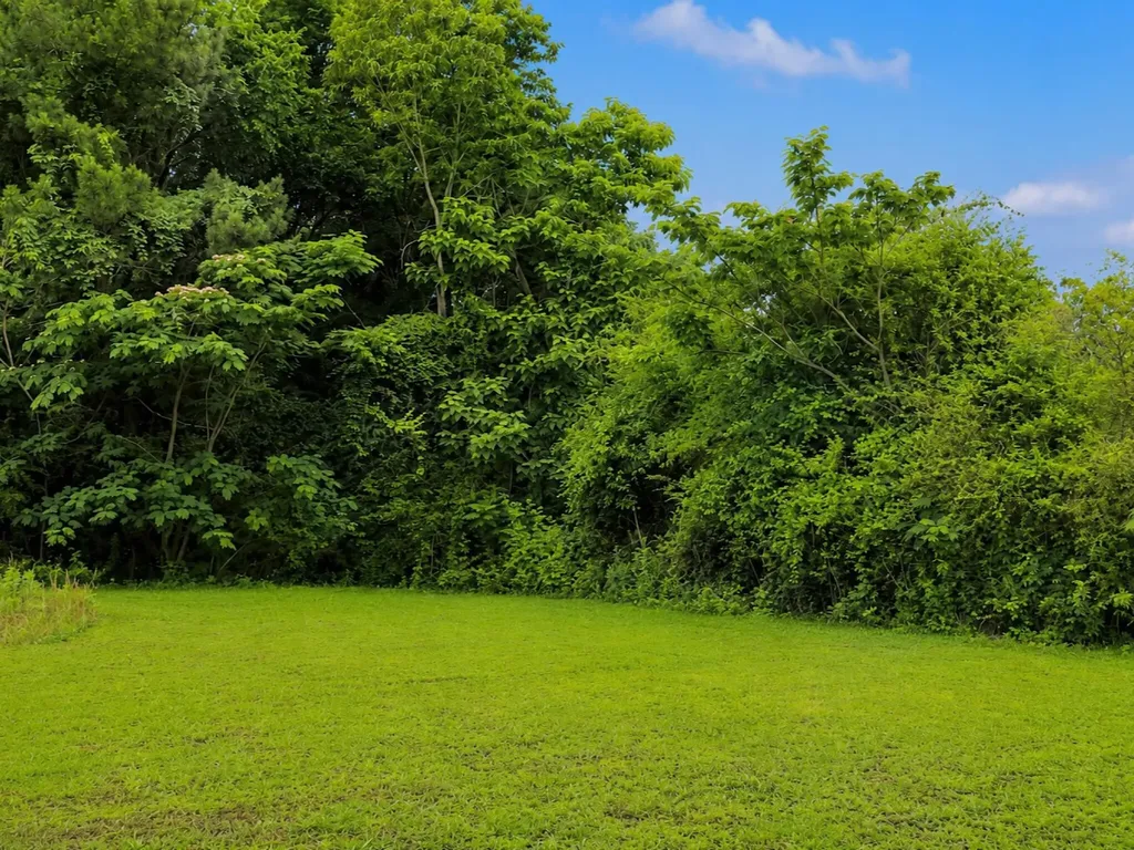 988 Johnson Boulevard, SE Cleveland TN 37311
