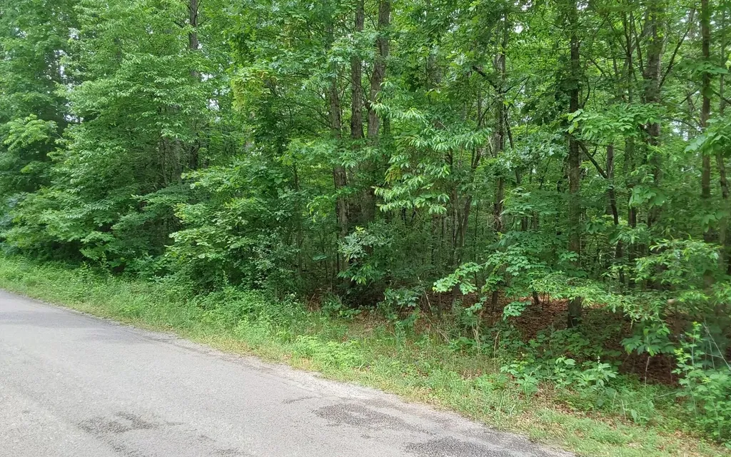 Crossville TN, Gray Fox Drive